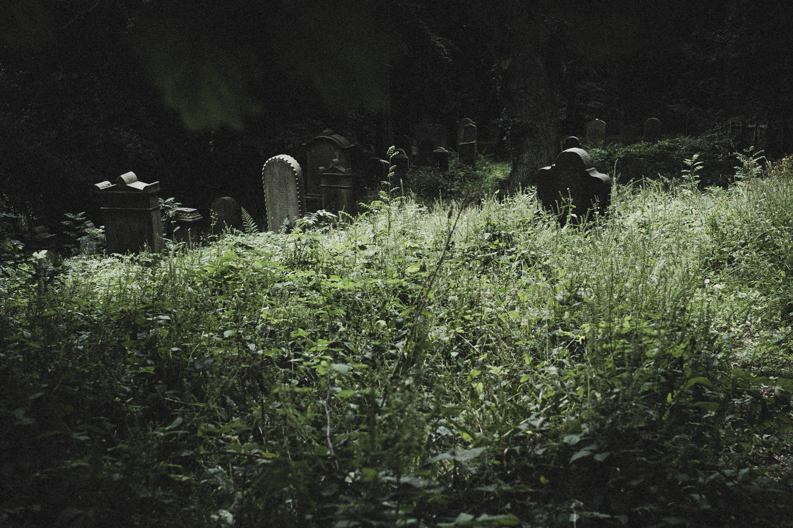 Obernkirchen, Jüdischer Friedhof
